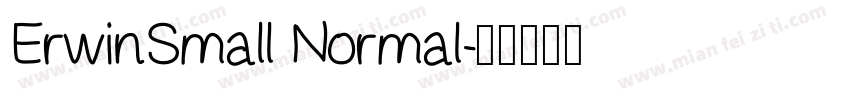 ErwinSmall Normal字体转换